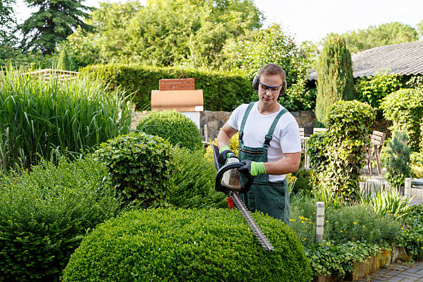 Landscape Design and Installation in Nisswa, MN